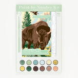 Yellowstone National Park Paint-By-Number Kit