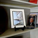 Cherry Blossoms at the Tidal Basin with Washington Monument Matted Print