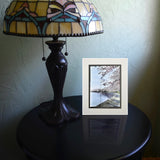 Cherry Blossoms at the Tidal Basin with Washington Monument Matted Print