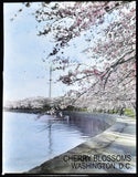 Cherry Blossoms at the Tidal Basin with Washington Monument Matted Print