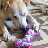 Large USA PUP Bone Dog Toy