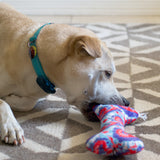 Large USA PUP Bone Dog Toy