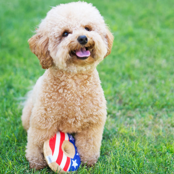 USA Donut Dog Toy