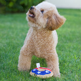 USA Donut Dog Toy