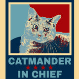 Catmander in Chief Coffee Mug