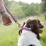 6 Foot Dog Leash: Stars and Stripes