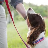6 Foot Dog Leash: Stars and Stripes