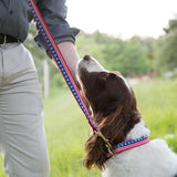 6 Foot Dog Leash: Stars and Stripes