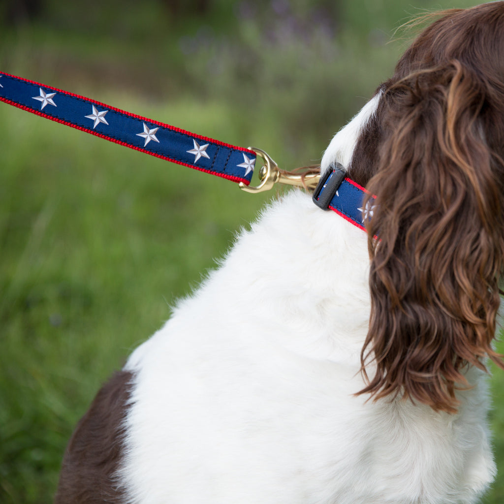 Medium Dog Collar: North Star on Red Webbing