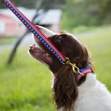 6 Foot Dog Leash: Stars and Stripes