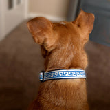 National Archives Heavy Duty Pet Collar