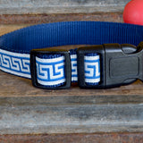 National Archives Heavy Duty Pet Collar