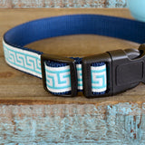 National Archives Heavy Duty Pet Collar
