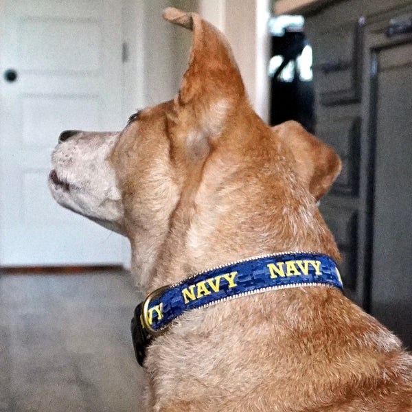 U.S. Navy Dog Collar