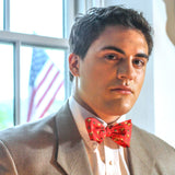 Lab Works Bow Tie