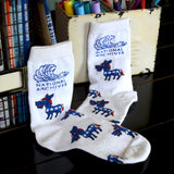 Party Socks Youth
