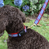 6 Foot Dog Leash: Anchors Aweigh