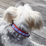 Small Narrow Dog Collar: Anchors Aweigh