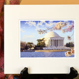 Jefferson Memorial Cherry Blossom Matted Print