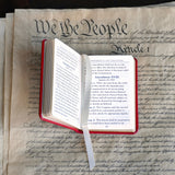 Mini United States Constitution