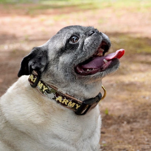 Army Dog Collar