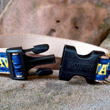 U.S. Navy Dog Collar