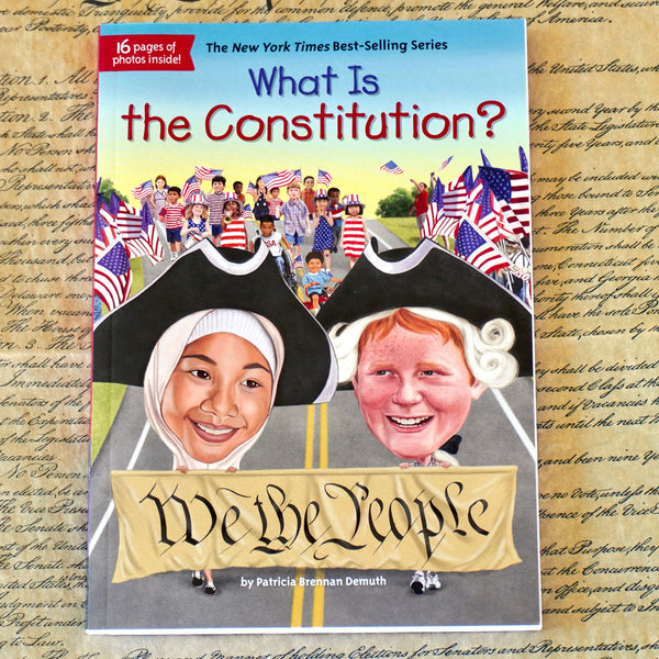 What Is the Constitution?