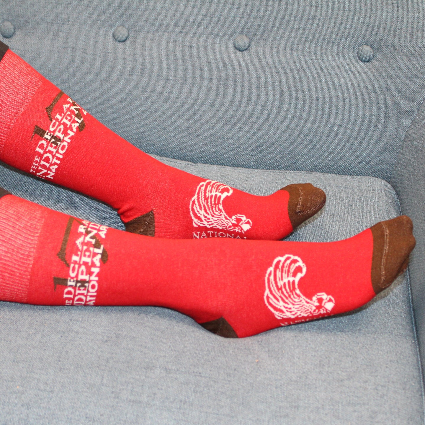 Declaration of Independence Socks