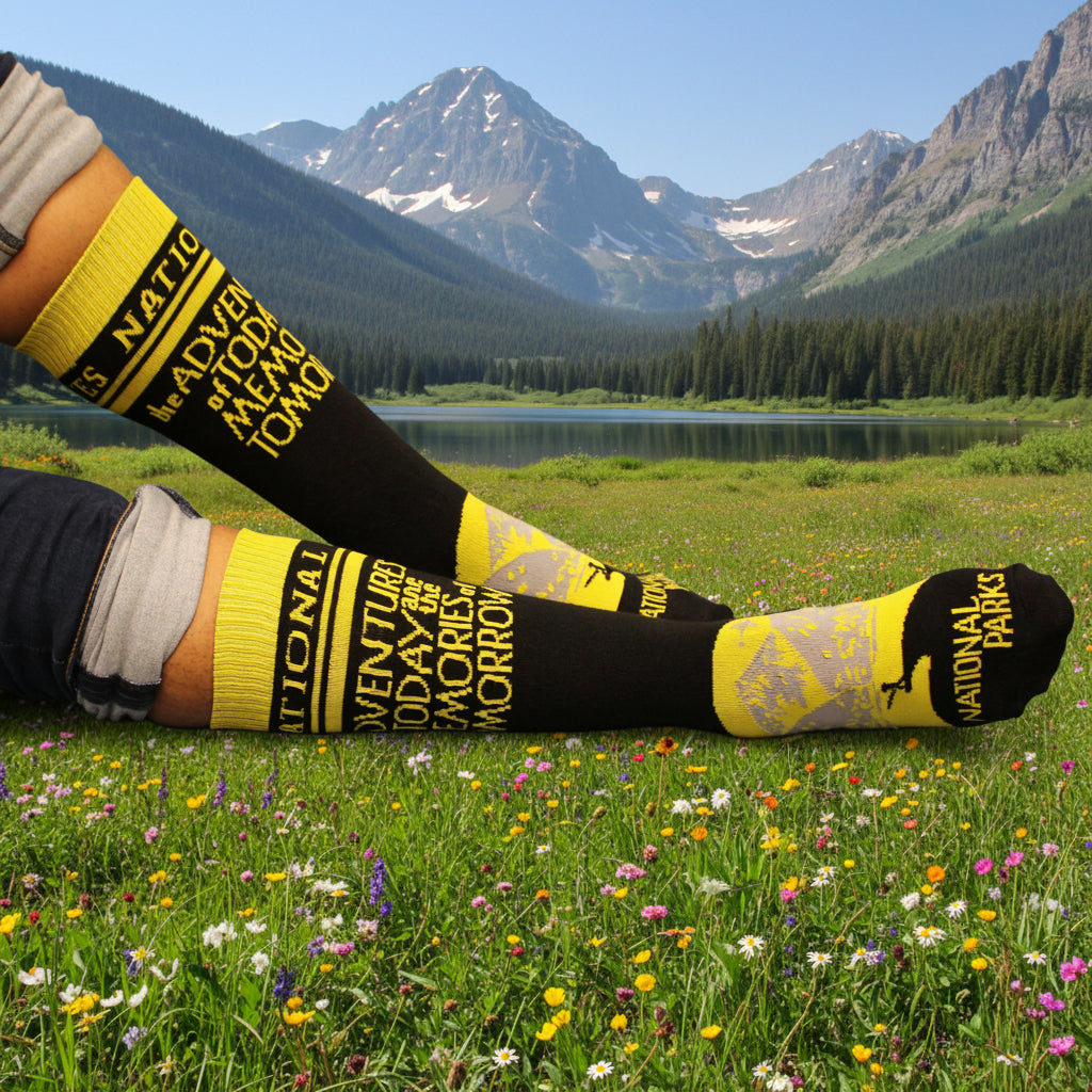 The Adventures of Today Crew Socks