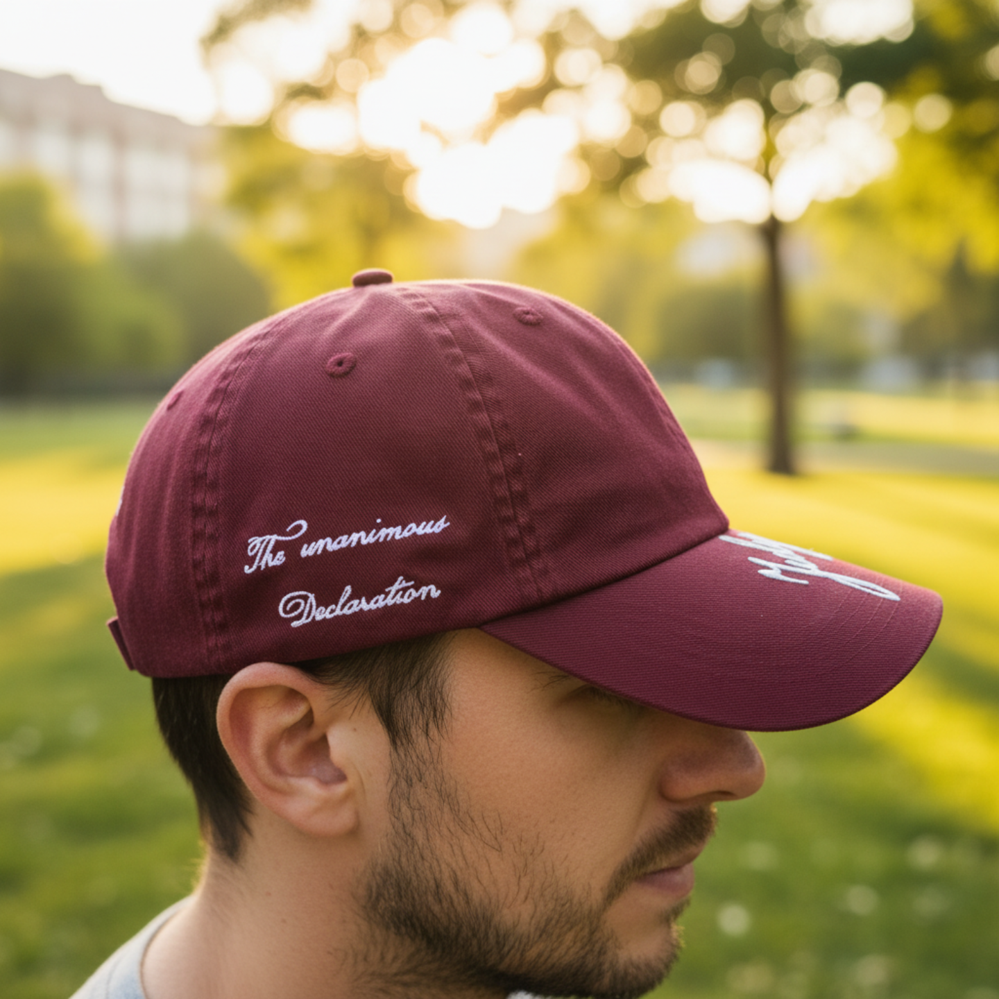 Declaration of Independence Baseball Cap