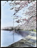 Cherry Blossoms at the Tidal Basin with Washington Monument  Matted Print