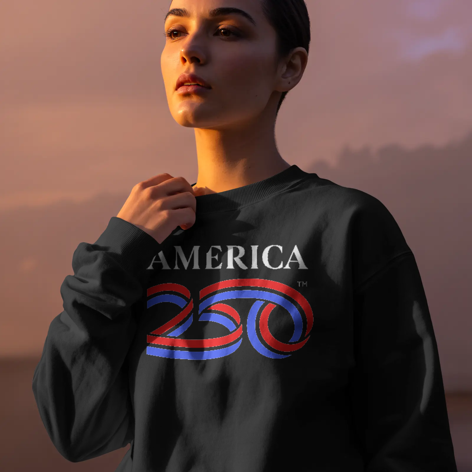 America250 Sweatshirt
