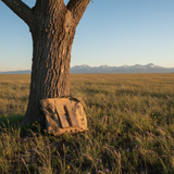 US Army Text Recycled Military Tent Crossbody