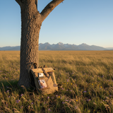 US Air Force Military Tent Backpack