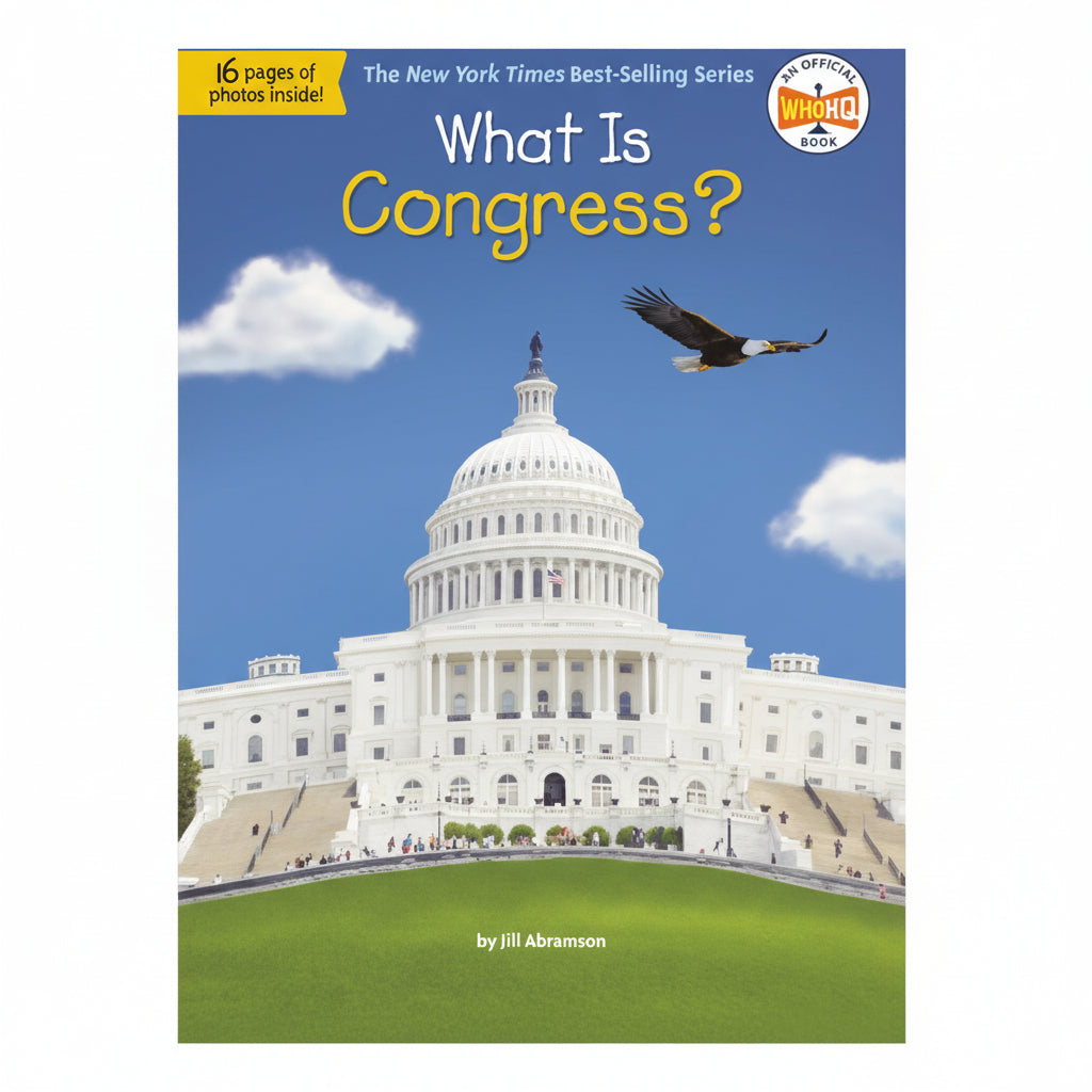 What is Congress?