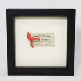 Authentic Red Tape in Shadow Box – National Archives Store