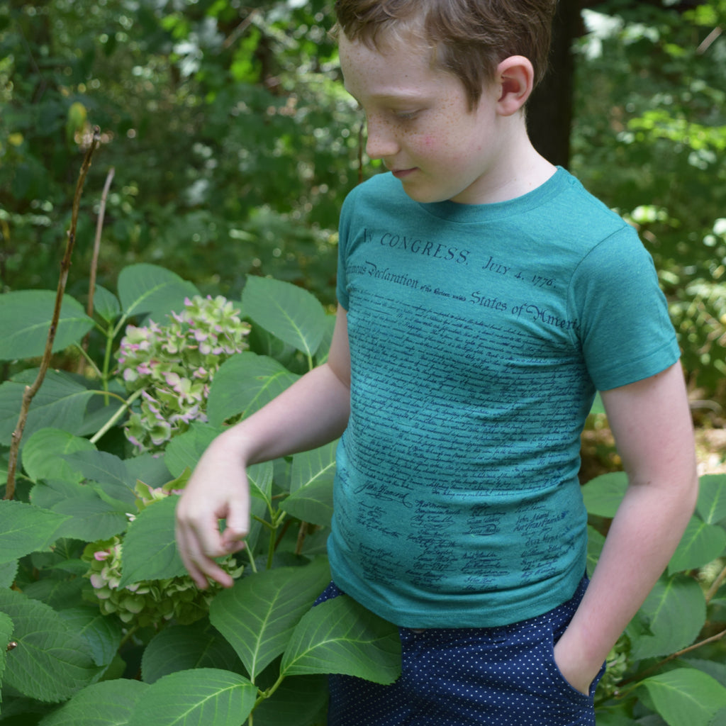 Declaration of Independence Toddler and Youth Tee