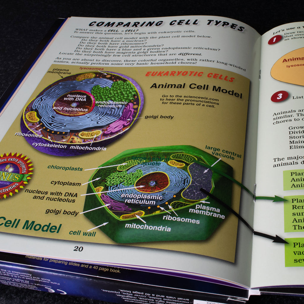 Cells Book and Kit – National Archives Store