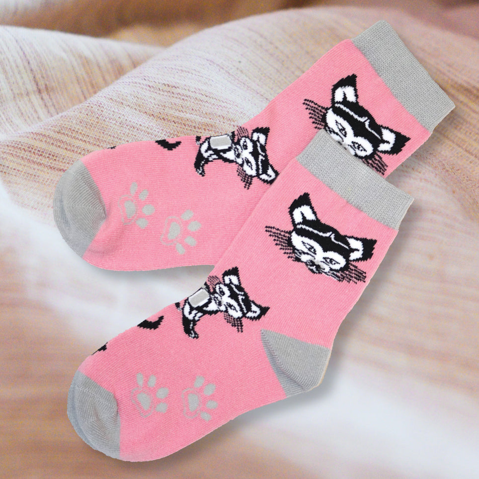 Cat Kids Socks