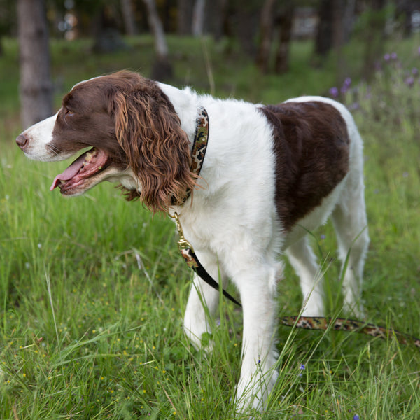 Small Narrow Dog Collar: Camo