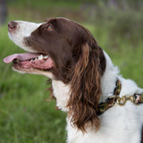 Small Narrow Dog Collar: Camo