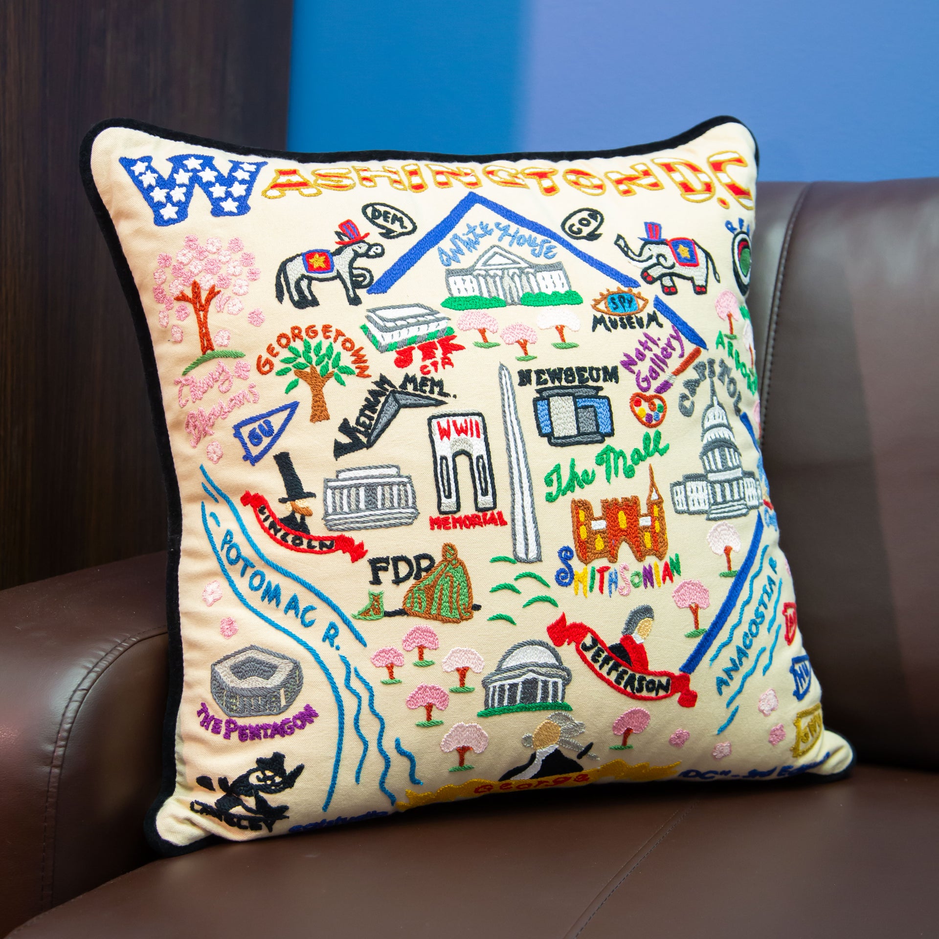 Washington, D.C. Square Pillow