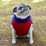 NASA Dog Sweater