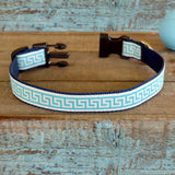 National Archives Heavy Duty Pet Collar