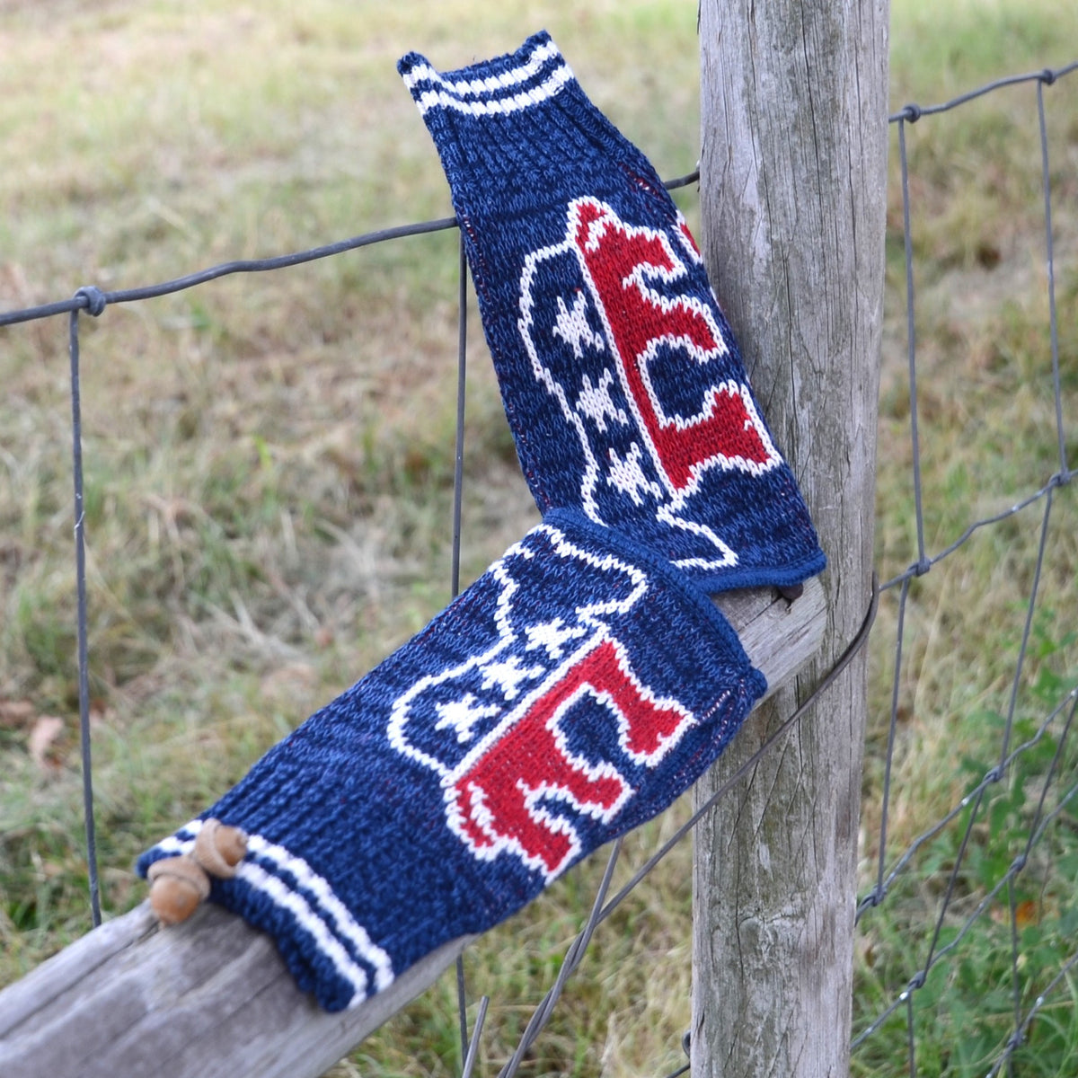 Democrat Fingerless Mittens
