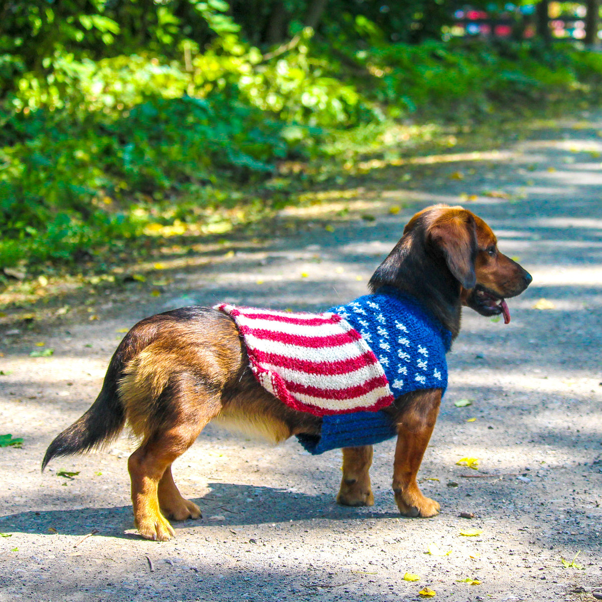 Patriotic Dog Sweater