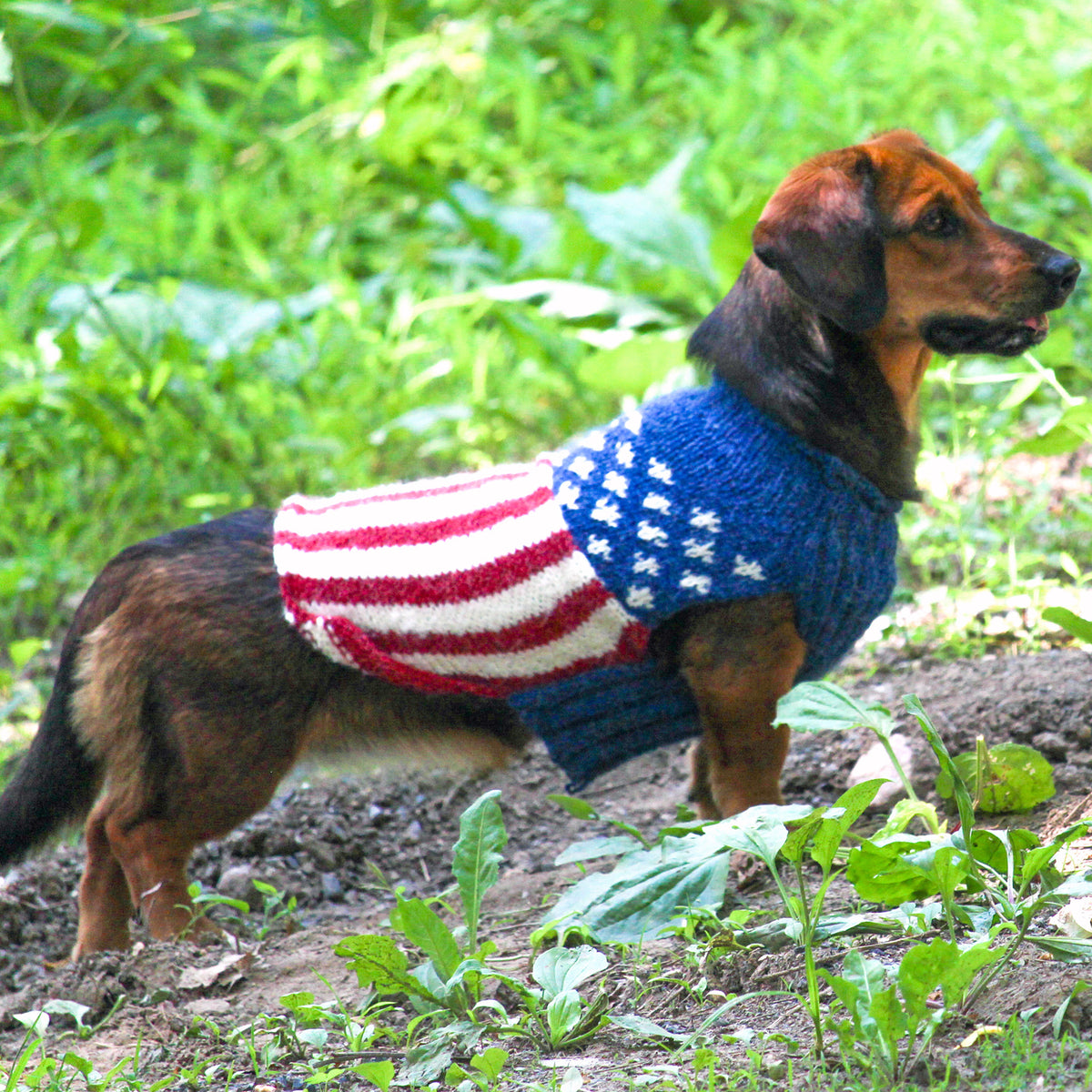 Patriotic Dog Sweater