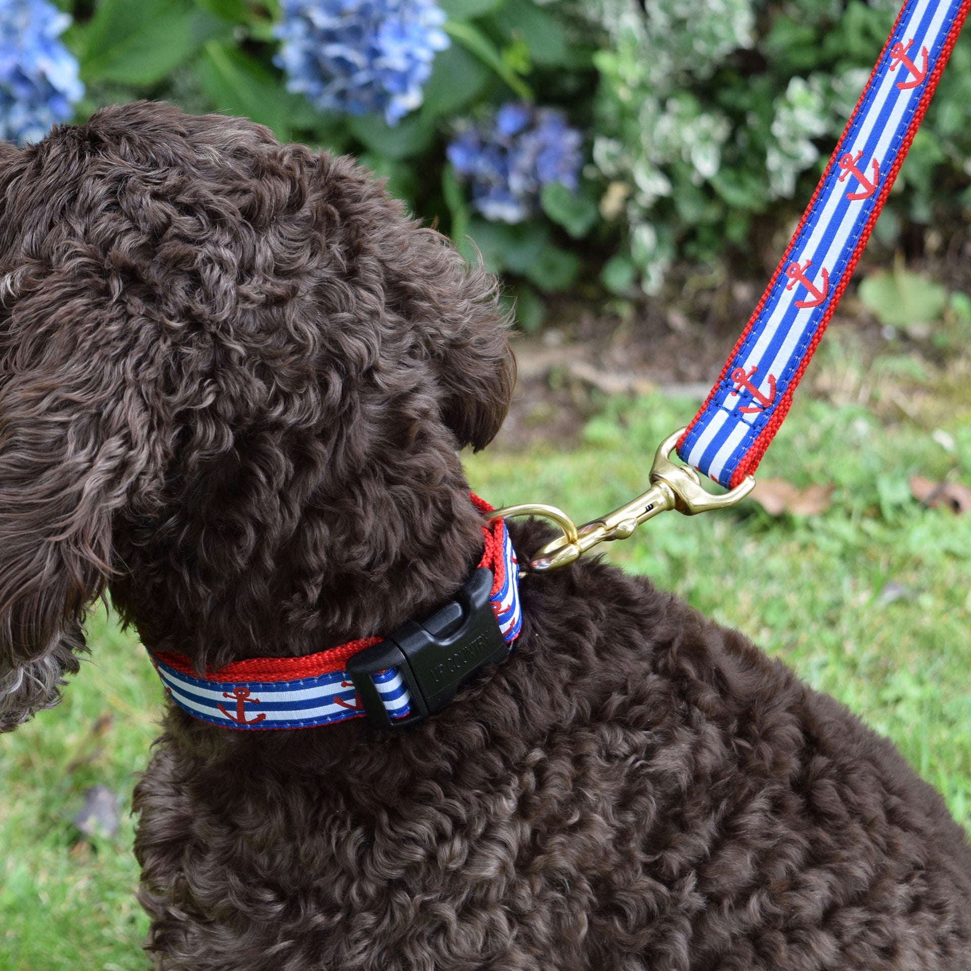6 Foot Dog Leash: Anchors Aweigh
