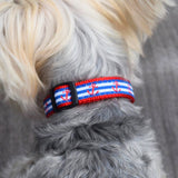 Small Narrow Dog Collar: Anchors Aweigh