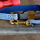 National Archives Heavy Duty Pet Leash